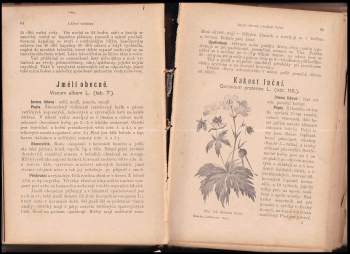 František Dlouhý: Léčivé rostliny (Herbář)