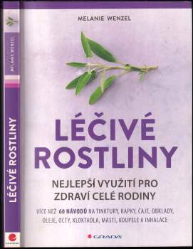 Léčivé rostliny : nejlepší využití pro zdraví celé rodiny