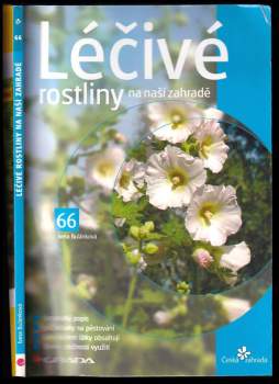 Léčivé rostliny na naší zahradě