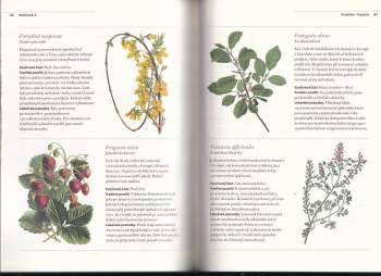 Monique S. J Simmonds: Léčivé rostliny na zahradu