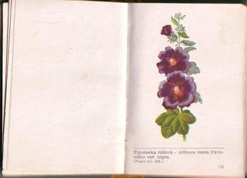 Viktor Jedlička: Léčivé rostliny