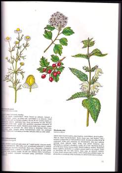Maria Treben: Léčivé rostliny z boží zahrady