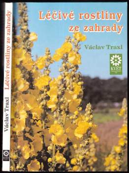 Léčivé rostliny ze zahrady