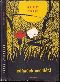 Ledňáček neodlétá