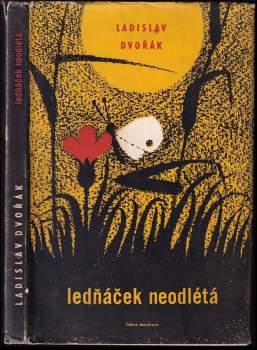 Ledňáček neodlétá