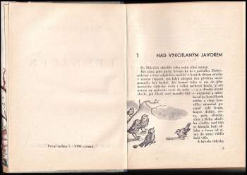 Zikmund Skyba: Ledňáček