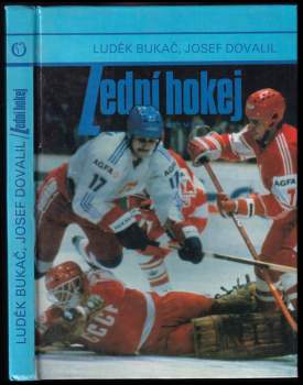 Lední hokej