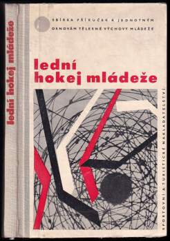 Lední hokej mládeže