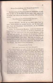 Johann Nepomuk Fischer: Lehrbuch der gesammten Entzündungen und organischen Krankheiten des menschlichen Auges, seiner Schutz- und Hilfsorgane