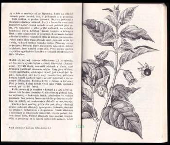 Viktor Barinov: Lékárna na dosah ruky