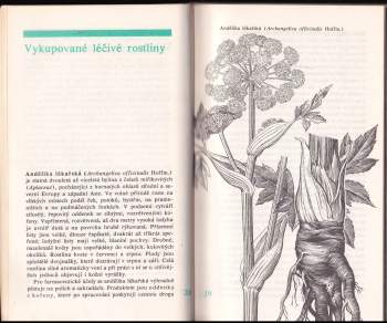 Viktor Barinov: Lékárna na dosah ruky