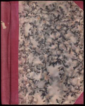 Lékařovy zápisky z války