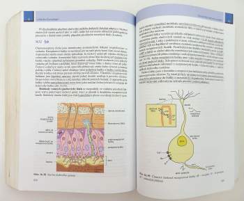 Otomar Kittnar: Lékařská fyziologie