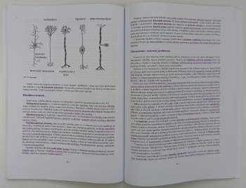 Ludek Vajner: Lékařská histologie I