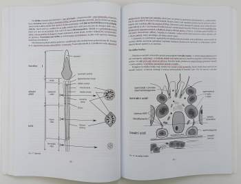 Tomáš Novotný: Lékařská histologie II