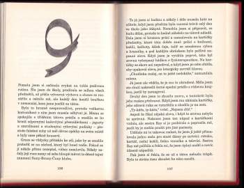 Jacqueline Wilson: Lekce lásky