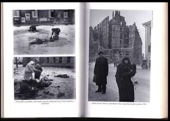 Anna Reid: Leningrad