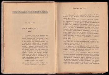 Dmitrij Sergejevič Merežkovskij: Leonardo da Vinci