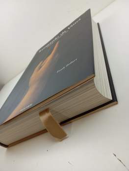 Frank Zöllner: Leonardo da Vinci