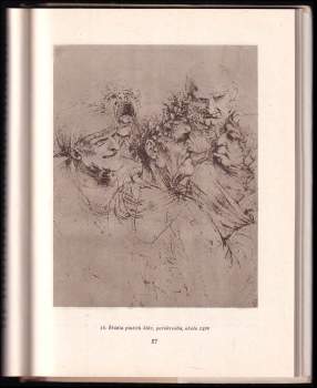 Jan Spurný: Leonardo da Vinci