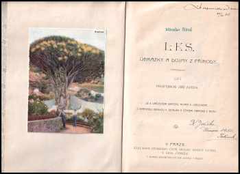 Jiří Janda: Les