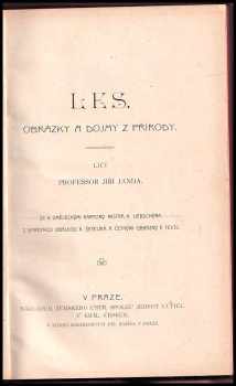 Jiří Janda: Les