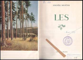 Zdeněk Mráček: Les