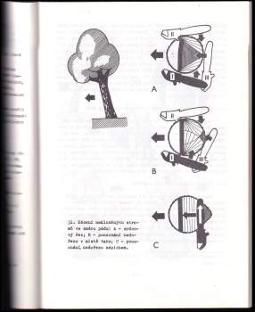 Jan Klíma: Lesař - dřevorubec