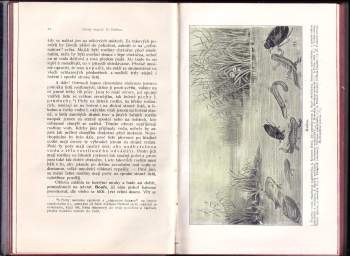 Bernard Landsberg: Lesem a nivou