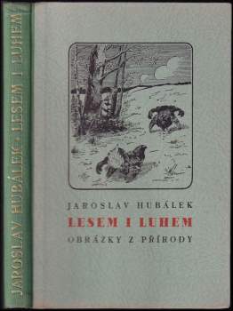 Lesem i luhem