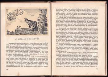 Jaroslav Cingroš: Lesem, stepí, tajgou