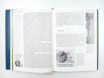 Ferdinand Seibt: Lesk a bída středověku