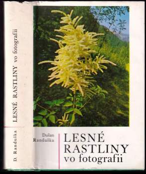 Lesné rastliny vo fotografii