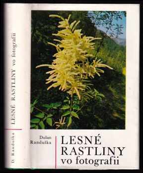 Lesné rastliny vo fotografii