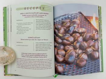 Markus Strauß: Lesní lékárna