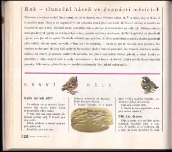 Vitalij Valentinovič Bianki: Lesní noviny na každý rok