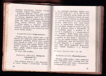 Marie Janků-Sandtnerová: Lesní plody