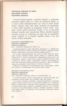 Karel Mráz: Lesní rostliny