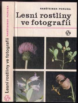 Lesní rostliny ve fotografii