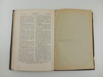 Josef Václav Rozmara: Lesní stráž, KOMPLETNÍ ROČNÍK VI.