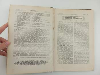 Josef Václav Rozmara: Lesní stráž, KOMPLETNÍ ROČNÍK VI.