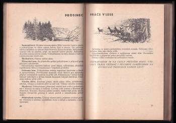 Lesnická ročenka 1967 ; Služební deník 1967