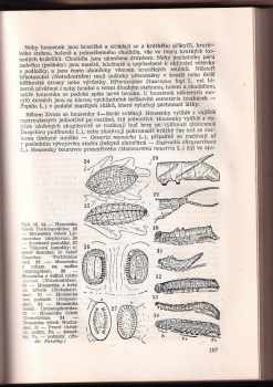 Antonín Pfeffer: Lesnická zoologie