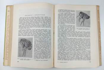 Julius Komárek: Lesnická zoologie