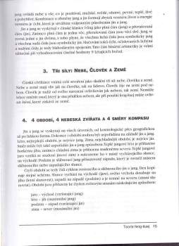 Stephen Skinner: Létající hvězda feng-šuej