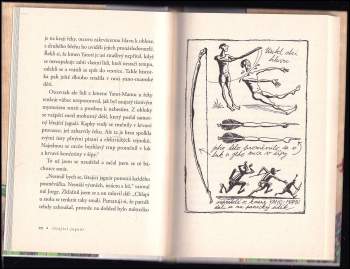 Josef Formánek: Létající jaguár