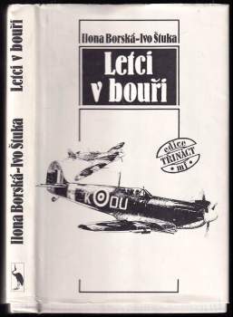Letci v bouři