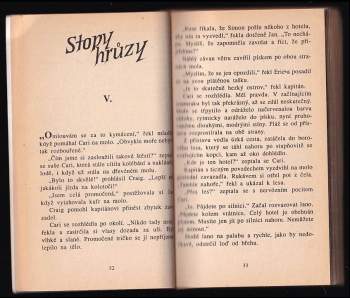 R. L Stine: Letní štvanice