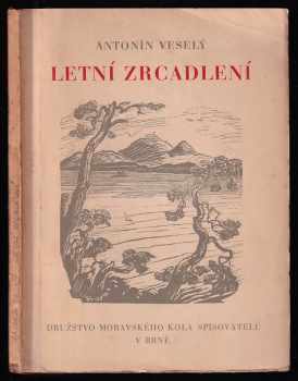 Letní zrcadlení