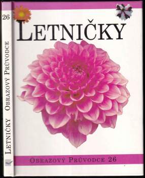 Letničky